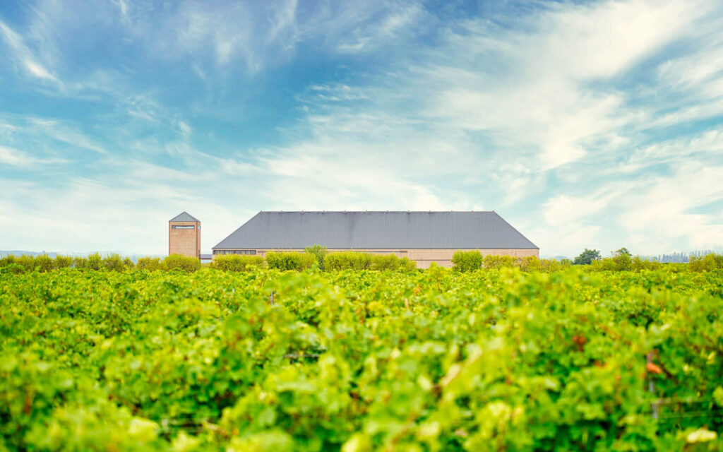 Bodegas Guelbenzu - A los pies del Mocayo se encuentra Finca La Lombana